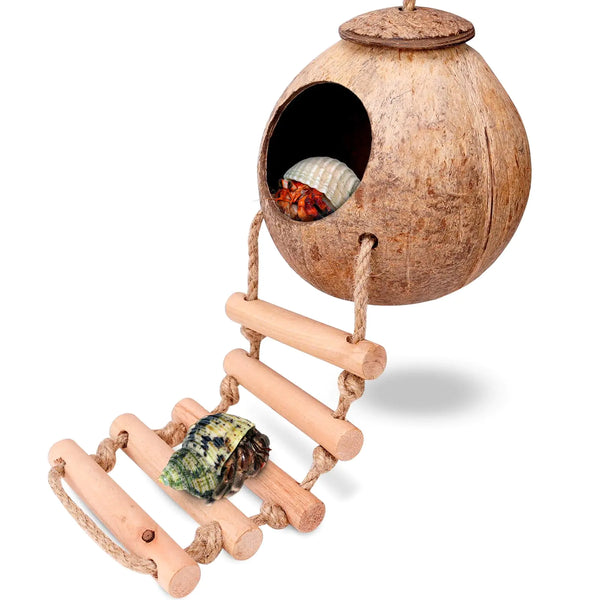 U0U Hermit Crab Coconut Husk Hut with Branch LadderCoconut House Hermit Crab Shells Reptile HabitatCoconut Nest Hangable Suitable for Animal Hiding Sleep (Coconut Shell)